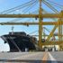 Katar ile Hindistan arasında yeni deniz yolu hattı açıldı Katar ile Hindistan arasında yeni deniz yolu hattı açıldı