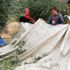 Irak'taki iç göçmenler ekmeklerini zeytinden çıkarıyor