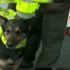 Suç örgütü polis köpeğinin başına para ödülü koydu