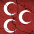 Partiyi eleştirdi, görevden alındı!