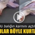 Ölü balığın karnından 3 yavru çıkarıldı Ölü balığın karnından 3 yavru çıkarıldı