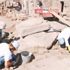 Assos'ta 1600 yıllık kolye ucu bulundu Assos'ta 1600 yıllık kolye ucu bulundu