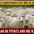 2018 Kurbanlık fiyatları ne kadar? Migros CarrefourSA A101 Bim ve Şok'ta kurban fiyatları kaç TL