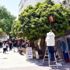 Kuşadası'nda tedirgin eden görüntü