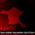 Aksigorta dan sokak hayvanları için 6 ton mama