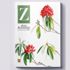Kültür sanata “Z Dergisi” dopingi Kültür sanata “Z Dergisi” dopingi