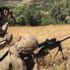 Tunceli'de 2 terörist etkisiz hale getirildi