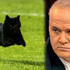 ‘Kara kedi’ kehaneti ‘Kara kedi’ kehaneti