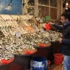 Lodos Balık Fiyatlarını Uçurdu