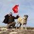 Kangal köpekleri Afrin'e gidiyor