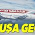 Türk Hava Yolları Ekim ayında yüzde 83,4 doluluk oranına ulaştı