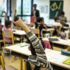 Fransız öğrenciler matematikte sınıfta kaldı: Avrupa'nın en kötüsü