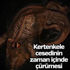 Kertenkele cesedinin zaman içinde çürümesi