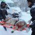 Yaralı köpek için karda 37 kilometre gittiler