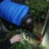 Rize'de yavru kedi operasyonu Rize'de yavru kedi operasyonu