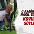 Ertuğrul Özkök kovuldu iddiası