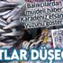 Balıkçılar müjdeyi verdi: Karadeniz efsanesi ‘hamsi’ yüzünü göstermeye başladı
