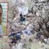 15 aydır aranıyordu, cansız bedeni bulundu 15 aydır aranıyordu, cansız bedeni bulundu