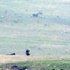 Cizre'de silah sesleri altında bayrak operasyonu