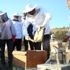 Kütahya da 250 ton bal üretimi hedefleniyor