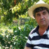Araç içinde inanılmaz ölüm