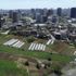 İstanbul’un merkezindeki seralarda tarım başladı İstanbul’un merkezindeki seralarda tarım başladı