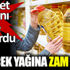 ﻿Ayçiçek yağına da zam geldi