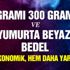 EA SAKIZ KABAĞI PROTEİNİ EA SAKIZ KABAĞI PROTEİNİ
