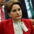 Meral Akşener'den referandum için skandal sözler Meral Akşener'den referandum için skandal sözler