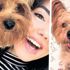 Otobüsün bagajına konulan köpek öldü