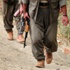 Şırnak'ta 10 terörist teslim oldu