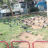 Parklarla bahara yaklaşmak Parklarla bahara yaklaşmak