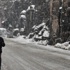 Bitlis'te 17 köy yolu kapandı Bitlis'te 17 köy yolu kapandı