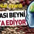 Fazla tüketildiğinde beyni hasta eden besinler!