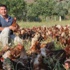 'Özgür Tavuklar'ın Yumurtasını 'Gagak' Markasıyla Sofraya Taşıdı