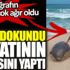﻿Foka dokundu hayatının hatasını yaptı. Bu fotoğrafın bedeli çok ağır oldu