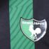 Denizlispor'da istifa depremi