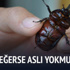 "Gergedan böceği iddiaları asılsız!"