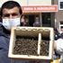 Bursa'da binlerce arının şok eden ölümü...Ölen arılarıyla müdürlüğe geldiler Bursa'da binlerce arının şok eden ölümü...Ölen arılarıyla müdürlüğe geldiler