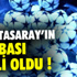 25 Mayıs 2015 On Numara sonuçları 25 Mayıs 2015 On Numara sonuçları