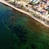 Türkiye'de bulundu, dünya hayran kaldı
