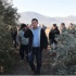 CHP'li Özel'den zeytin ağaçları için yasa teklifi