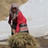 Eşi kurt saldırında öldü, 4 kızına hem analık hem babalık yapıyor Eşi kurt saldırında öldü, 4 kızına hem analık hem babalık yapıyor
