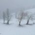 Meteoroloji'den son dakika hava durumu açıklaması! Kar yağışı uyarısı | 22 Nisan 2020 hava durumu Meteoroloji'den son dakika hava durumu açıklaması! Kar yağışı uyarısı | 22 Nisan 2020 hava durumu