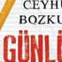 Hendek terörü romana taşındı