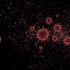 239 bilim insanından DSÖ'ye açık mektup: Virüs havadan bulaşabilir