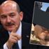 Son dakika... Bakan Soylu duyurdu: PYD/YPG’li terörist Akçakale’de patlayıcı ile yakalandı