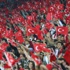 Milli sınavın biletleri satışta