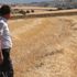 Elazığ’da hırsızlar 150 dönüm tarladan 50 ton arpa çaldılar Elazığ’da hırsızlar 150 dönüm tarladan 50 ton arpa çaldılar