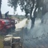 Ormanlık Alandaki Yangın, Ağaçlar Zarar Görmeden Söndürüldü